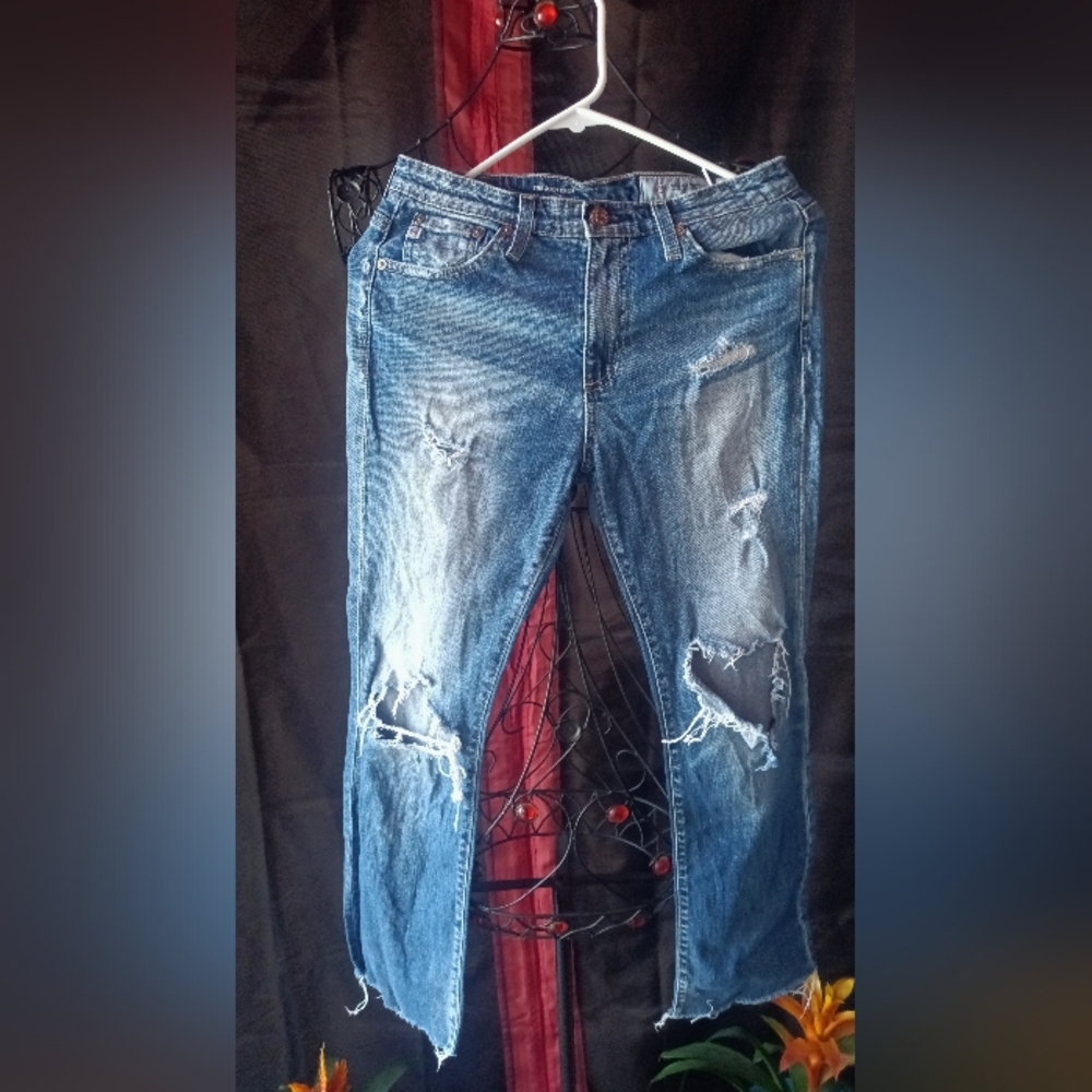 AG-ED Denim Adriano Goldschmied The Jodi crop high rise Slim flare crop size 26R